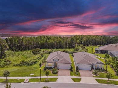 Beach Home For Sale in Land O Lakes, Florida