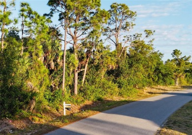 Beach Lot For Sale in North Port, Florida