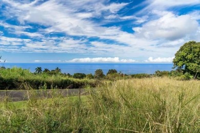 Beach Lot For Sale in Holualoa, Hawaii