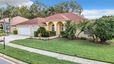 Beach Home For Sale in Trinity, Florida