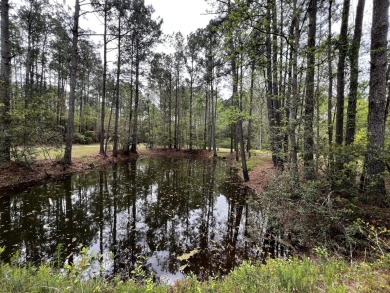 Beach Lot For Sale in Edisto Island, South Carolina