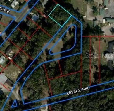 Beach Lot For Sale in Inglis, Florida