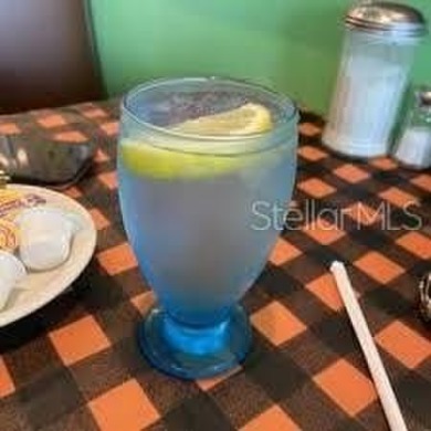 Beach Commercial For Sale in Ormond Beach, Florida