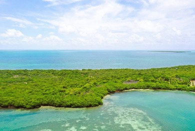 Beach Lot For Sale in Dangriga, 