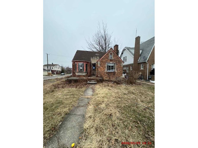 Home For Sale in Detroit image photo picture