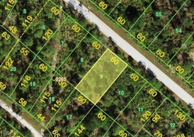 Beach Lot For Sale in Punta Gorda, Florida