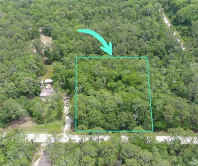 Beach Lot For Sale in Bunnell, Florida