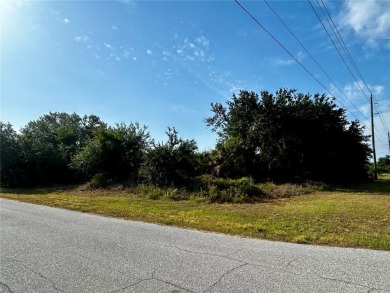 Beach Lot For Sale in Port Charlotte, Florida