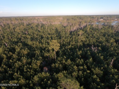 Beach Acreage Off Market in Arapahoe, North Carolina