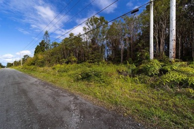Beach Acreage For Sale in Volcano, Hawaii