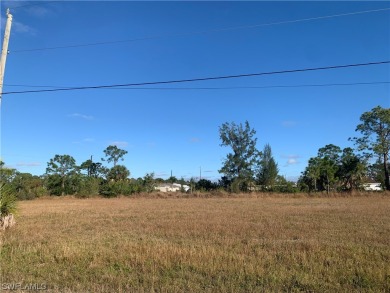 Beach Lot For Sale in Cape Coral, Florida