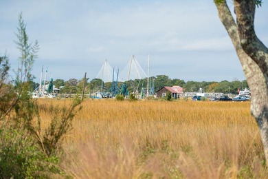 Beach Home For Sale in Mount Pleasant, South Carolina