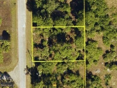 Beach Lot For Sale in Lehigh Acres, Florida