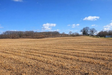 Beach Acreage For Sale in Coloma, Michigan
