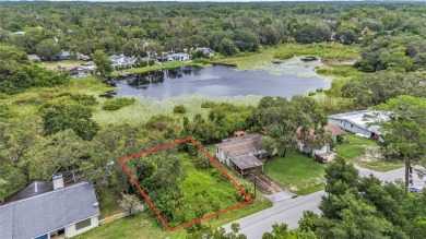 Beach Lot For Sale in New Port Richey, Florida