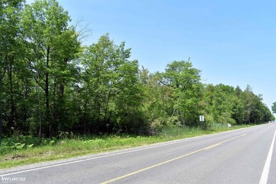 Beach Acreage For Sale in Port Austin, Michigan