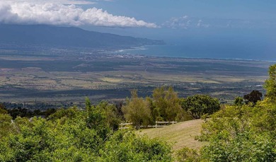 Beach Home For Sale in Kula, Hawaii