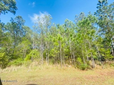Beach Lot For Sale in Diamondhead, Mississippi