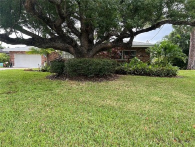 Beach Home For Sale in St. Petersburg, Florida