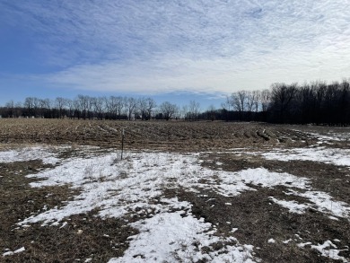 Beach Acreage Sale Pending in Shelby, Michigan