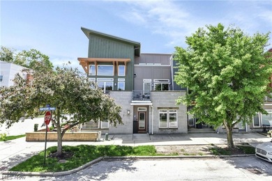 Beach Condo For Sale in Cleveland, Ohio