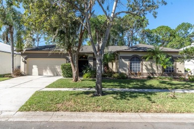 Beach Home For Sale in Tampa, Florida