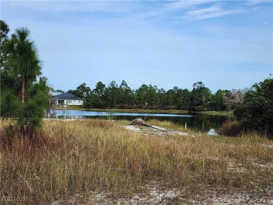 Beach Lot For Sale in Lehigh Acres, Florida