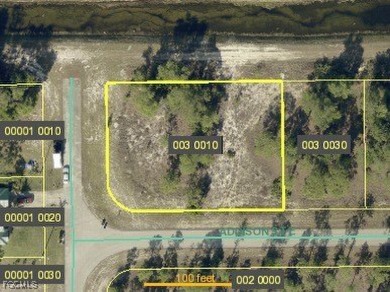 Beach Lot For Sale in Lehigh Acres, Florida