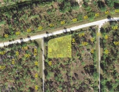 Beach Lot Sale Pending in Punta Gorda, Florida