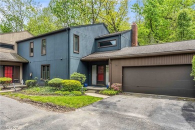 Beach Condo For Sale in Bratenahl, Ohio