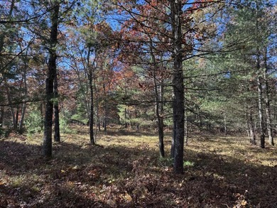 Beach Lot For Sale in Free Soil, Michigan