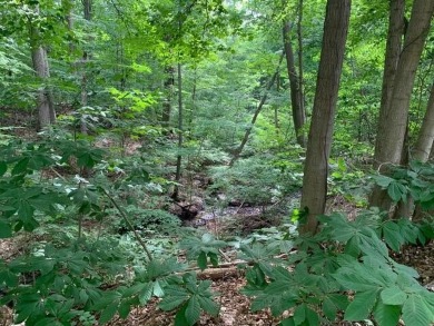 Beach Acreage Sale Pending in Three Oaks, Michigan