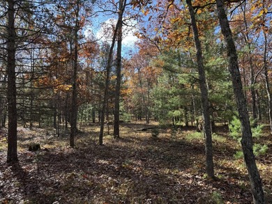 Beach Acreage For Sale in Free Soil, Michigan