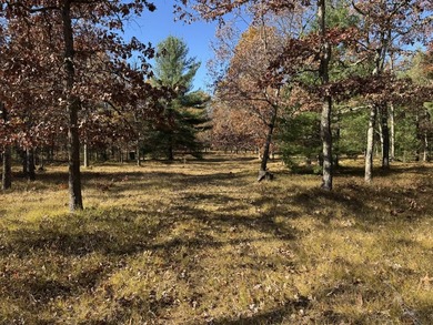 Beach Acreage For Sale in Free Soil, Michigan