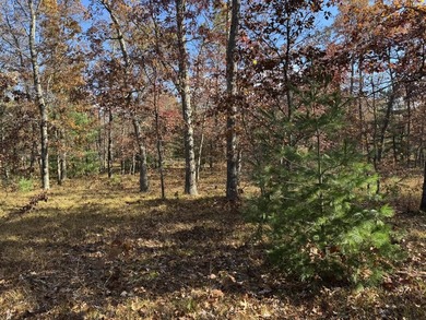 Beach Acreage For Sale in Free Soil, Michigan