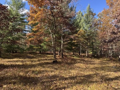 Beach Acreage For Sale in Free Soil, Michigan
