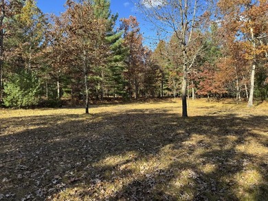 Beach Acreage For Sale in Free Soil, Michigan