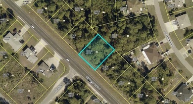Beach Lot For Sale in Lehigh Acres, Florida