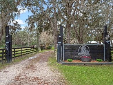 Beach Home For Sale in Port Orange, Florida