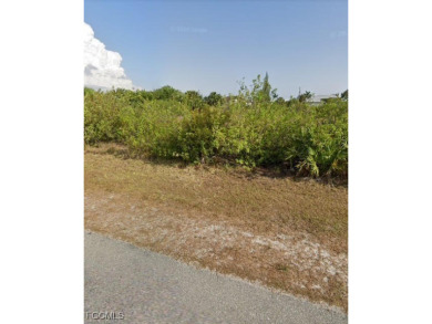Beach Lot For Sale in Port Charlotte, Florida