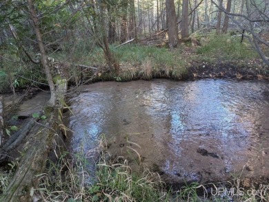 Beach Lot For Sale in Marquette, Michigan