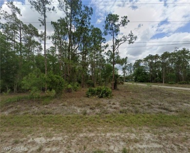 Beach Lot For Sale in Lehigh Acres, Florida