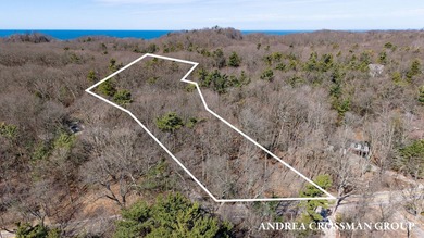 Beach Lot For Sale in Saugatuck, Michigan