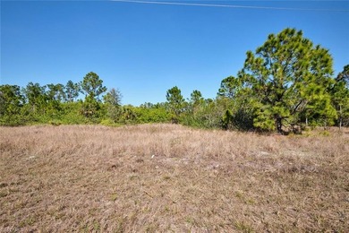 Beach Lot For Sale in Lehigh Acres, Florida