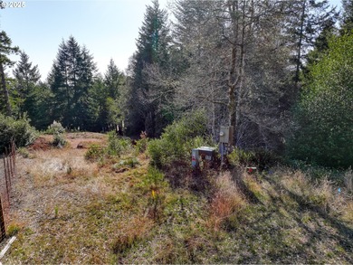 Beach Lot For Sale in Brookings, Oregon