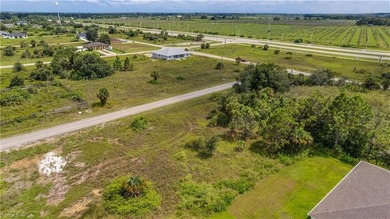 Beach Lot For Sale in Lehigh Acres, Florida
