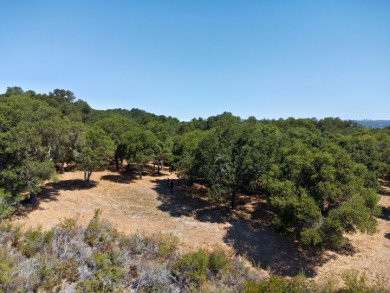 Beach Acreage For Sale in Carmel, California