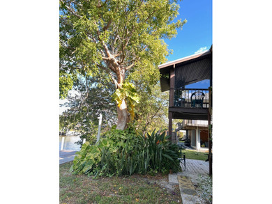 Beach Home For Sale in Chokoloskee, Florida