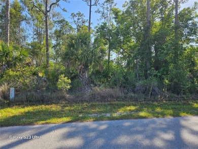 Beach Lot For Sale in Punta Gorda, Florida