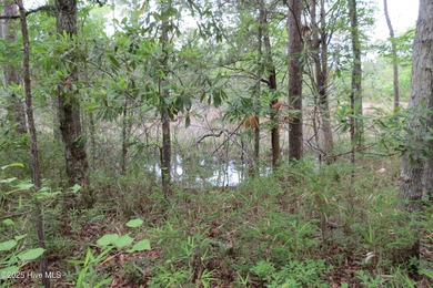 Beach Lot For Sale in Oriental, North Carolina